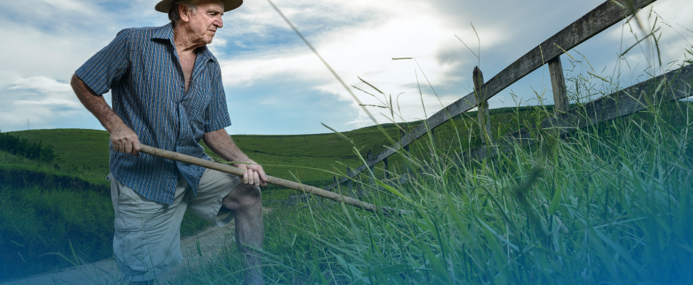 Leia mais sobre o artigo Tempo Rural na Aposentadoria: Como Aproveitar esse Direito e Antecipar sua Aposentadoria